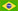 portugues